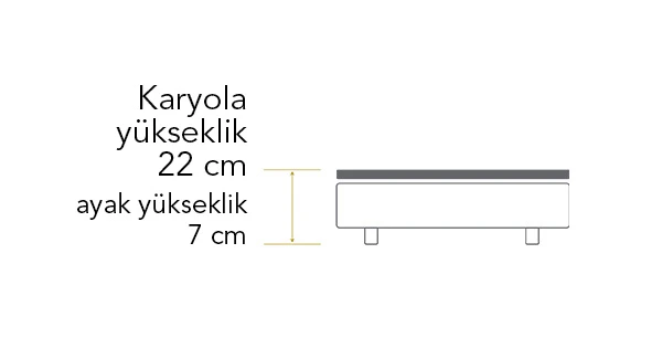 Pierre Cardin Baza Yükseklik 22 7 cm