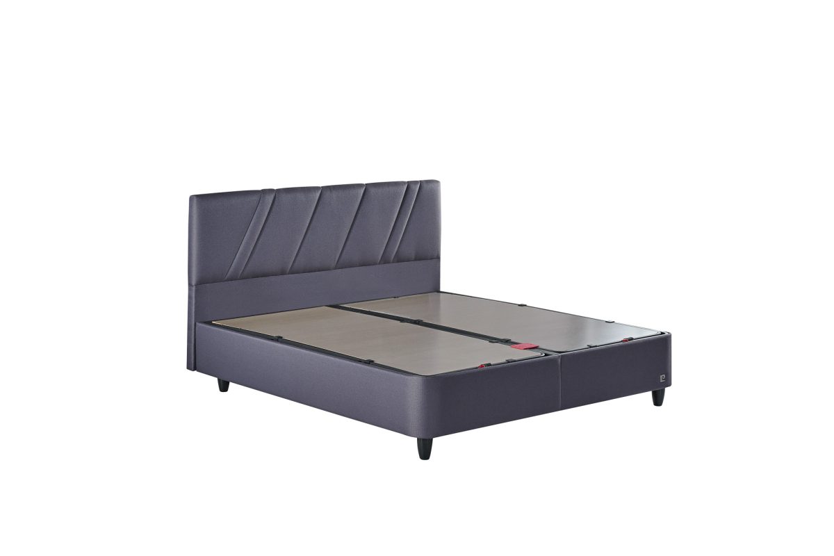 ⁦Parma Baza & Başlık⁩ - الصورة ⁦1⁩